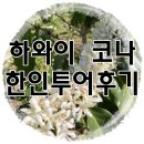 스러움 농장 | 코나한인투어후기/빅아일랜드코나투어/코나커피농장투어