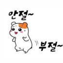 더 가까운 동물병원 이미지