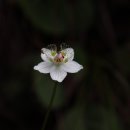 원동재로 이미지