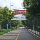 와룡자연휴양림자동차야영장 네이버블로그