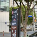 대구 시지 맛집 더포 시지점 알파시티 쌀국수 내돈내산 후기