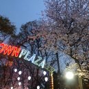 (주)미인나라 이미지