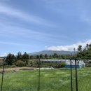 오씨주택 이미지