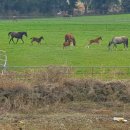 부동산064공인중개사사무소 이미지