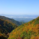 황골공원 이미지