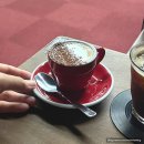 세븐일레븐 원주대성현대점 | 원주 카페 추천 13가지 원두를 시향할 수 있는 버드랜드커피클럽