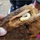 우연한 만남 이미지