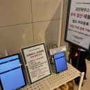 모던프라자 | 크리스마스 준비 추천 세종 모던하우스 방문 후기 | 주차 꿀팁, 할인정보, 각종 트리/오너먼트 정보