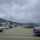 고복자연공원 수변 길 | 세종시에 있는 고복자연공원(고복저수지)에서 벚꽃, 힐링, 산책, 자연관찰, 조각 감상까지~