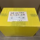 파파바운스