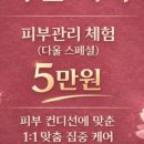 다올메디칼