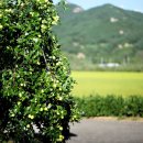 문화유산여행길(2코스) 이미지