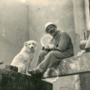 애견가족 이미지