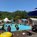 가로림글램핑&풀빌라펜션 | 서산 펜션 가로림글램핑&풀빌라펜션, 가족·반려견 동반 추천 🏕️