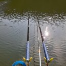 의평낚시터 이미지