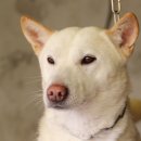 칠전농장 이미지