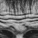 안산늘봄한의원 이미지