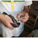 계두농장 이미지