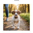 비비퍼피 강아지분양 일산점 | 일산 애견분양 비비퍼피 강아지분양 일산점