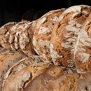 KOREA 행정사 사무소 이미지