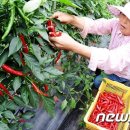 평창교육도서관 이미지