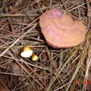 지짐이랑막걸리랑 이미지