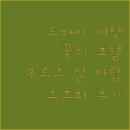 메트로프라자 | 꿈의 두바이 여행 부르즈 알 아랍 호텔 숙박 후기