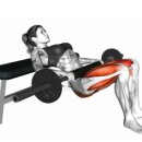 에스핏 피티 필라테스 이미지