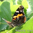 하늘소 - 중랑구 사가정로50길 67 | 하늘소
