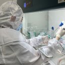 스마트동물병원 이미지