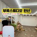 안산 셀프사진관 추천｜아기 천일 기념 부록스튜디오 안산점 후기