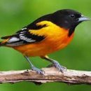 상계1파출소 이미지