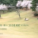 더가치