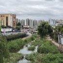 수원-0913 이미지