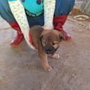 사산경로당 이미지