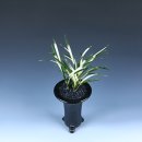 화순 하니움문화스포츠센터 체육관 이미지