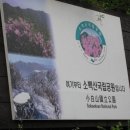 새밭민박 이미지