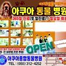 아쿠아동물병원 이미지