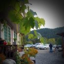 복받은펜션 이미지