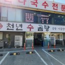 천년수곰탕
