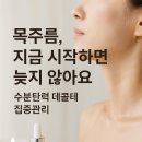 래미스킨