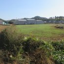 고금면-2 이미지