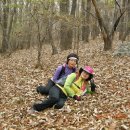 감포시장 이미지