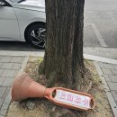 근무태만 이미지