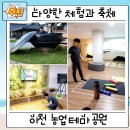 농업테마파크 공원 | [경기도 데이트 코스] 다양한 체험 가득 이천 농업테마파크공원, 캠핑장 (쌀문화축제,주차장)