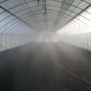 낙수농장 이미지