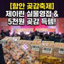 고창체육관 | [함안 곶감축제] 실내라 따뜻해! 5천원 득템+무한시식 솔직후기 (ft.미스트롯 제이린)