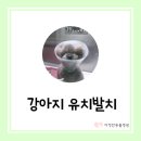 다정한 동물병원 이미지