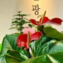 신설로11길쉼팡 이미지