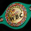 TKO로부터 카넬로 vs 크로포드 이벤트에서 배제당하고 있다는 WBC 회장 이미지